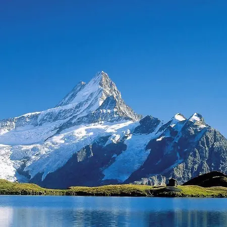 Apartment Superior 100m2 Bodmisonne - *