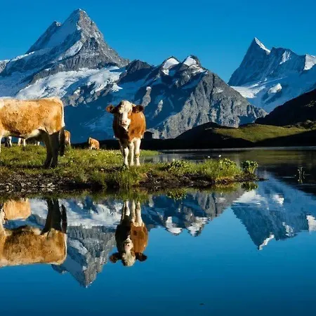 Superior 100m2 Bodmisonne - Apartamento Grindelwald