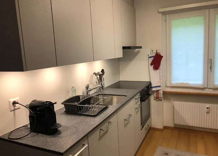 Superior 100m2 Bodmisonne - * 格林德瓦