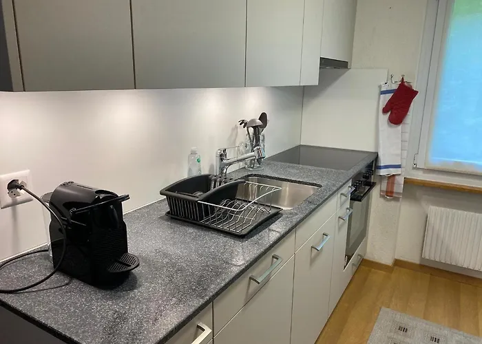 Superior 100m2 Bodmisonne - Lejlighed