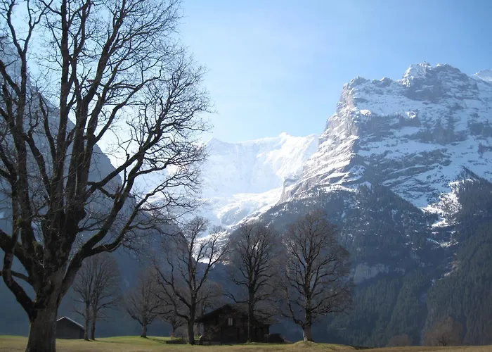 Superior 100m2 Bodmisonne -