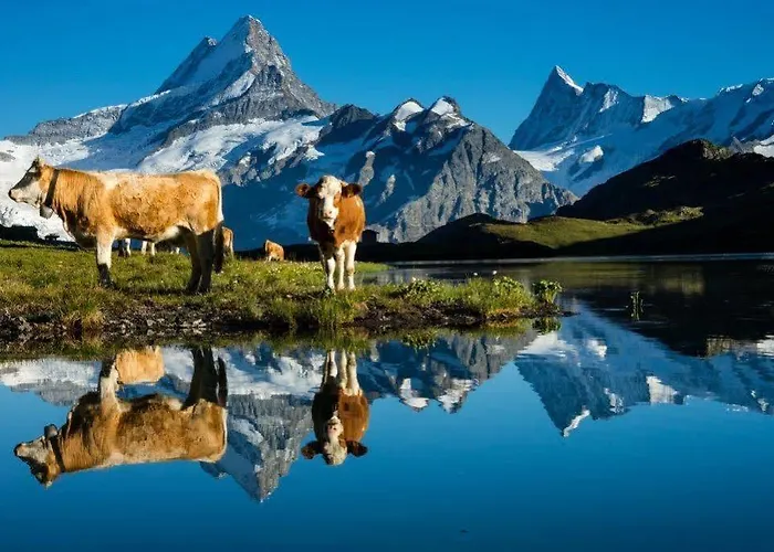 Superior 100m2 Bodmisonne - Lejlighed Grindelwald