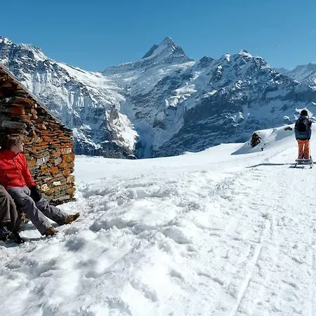 Superior 100m2 Bodmisonne - *